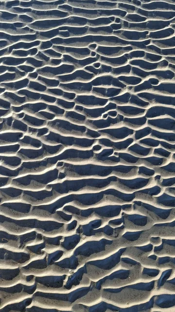 Sea Sand